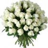 image de Fleurs blanches 100*100