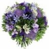 Fleurs bleues image de Fleurs bleues 100*100